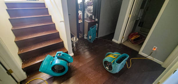 Best Professional water damage repair  in El Rio, CA