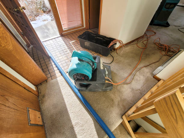 Best Flood damage cleanup  in El Rio, CA