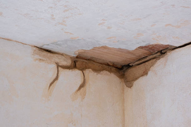 Reliable El Rio, CA Water damage restoration Solutions