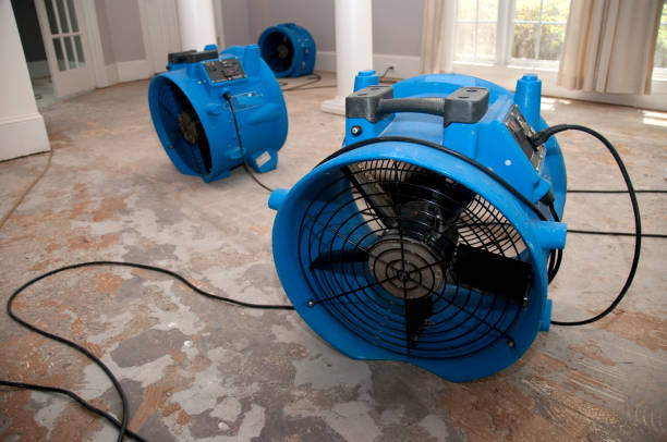 Best Basement water damage restoration  in El Rio, CA