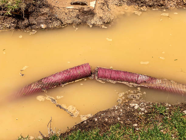  El Rio, CA Water damage restoration Pros